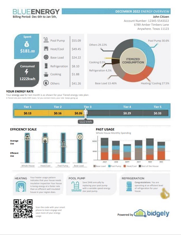 USA Texas Blue Energy utility bill, Word and PDF template